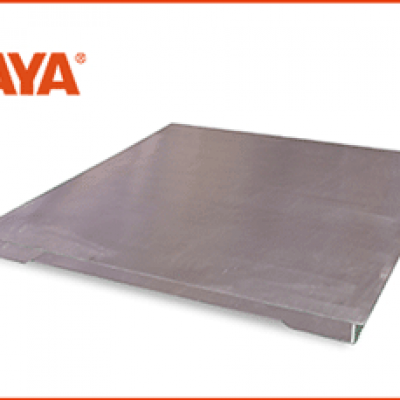 C4-不锈钢电子小地磅