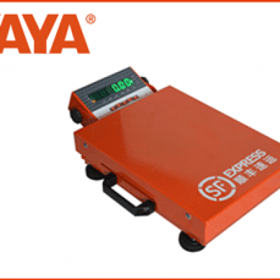 BX系列--便携式物流秤