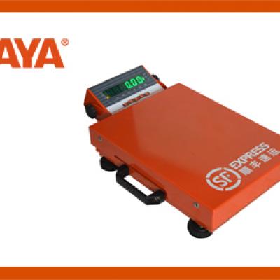 BX系列--便携式物流秤 